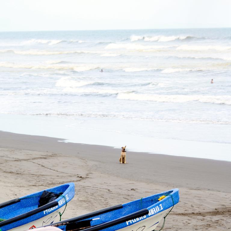 ホテル Azul Surf Club エル・クコ エクステリア 写真