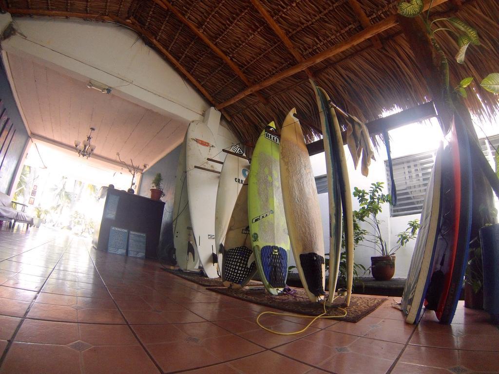 ホテル Azul Surf Club エル・クコ エクステリア 写真
