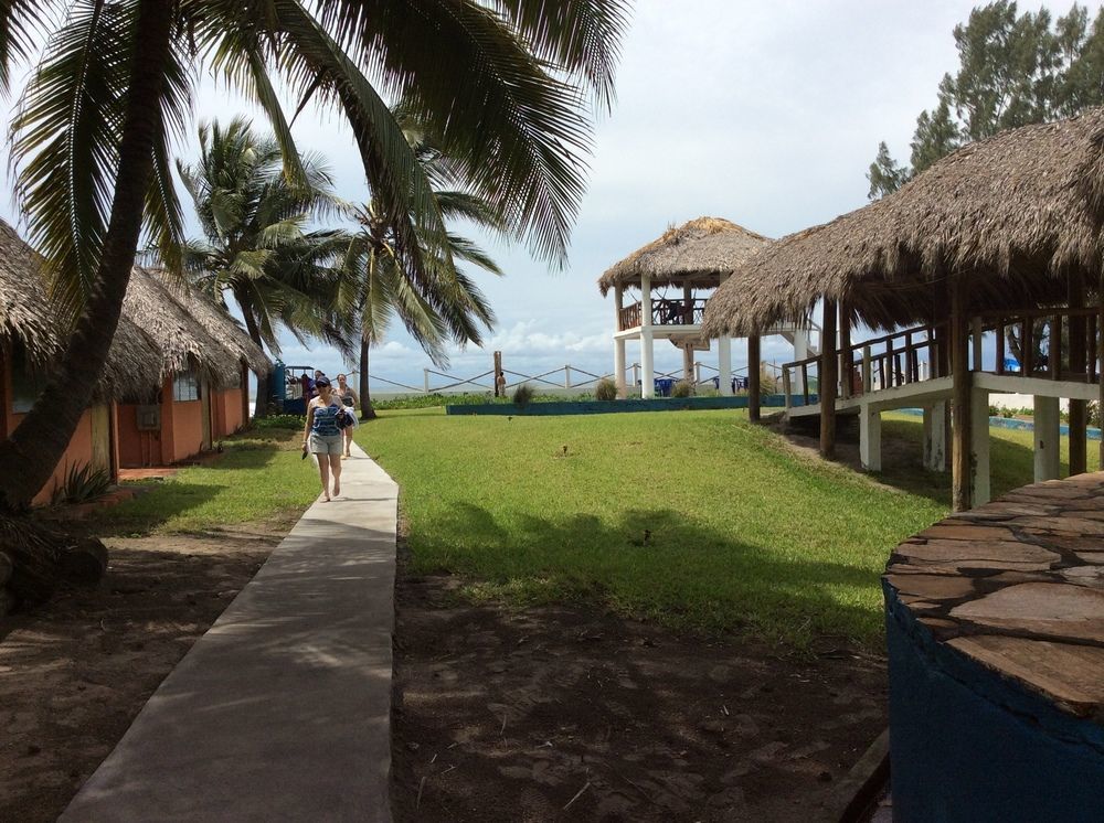 ホテル Azul Surf Club エル・クコ エクステリア 写真