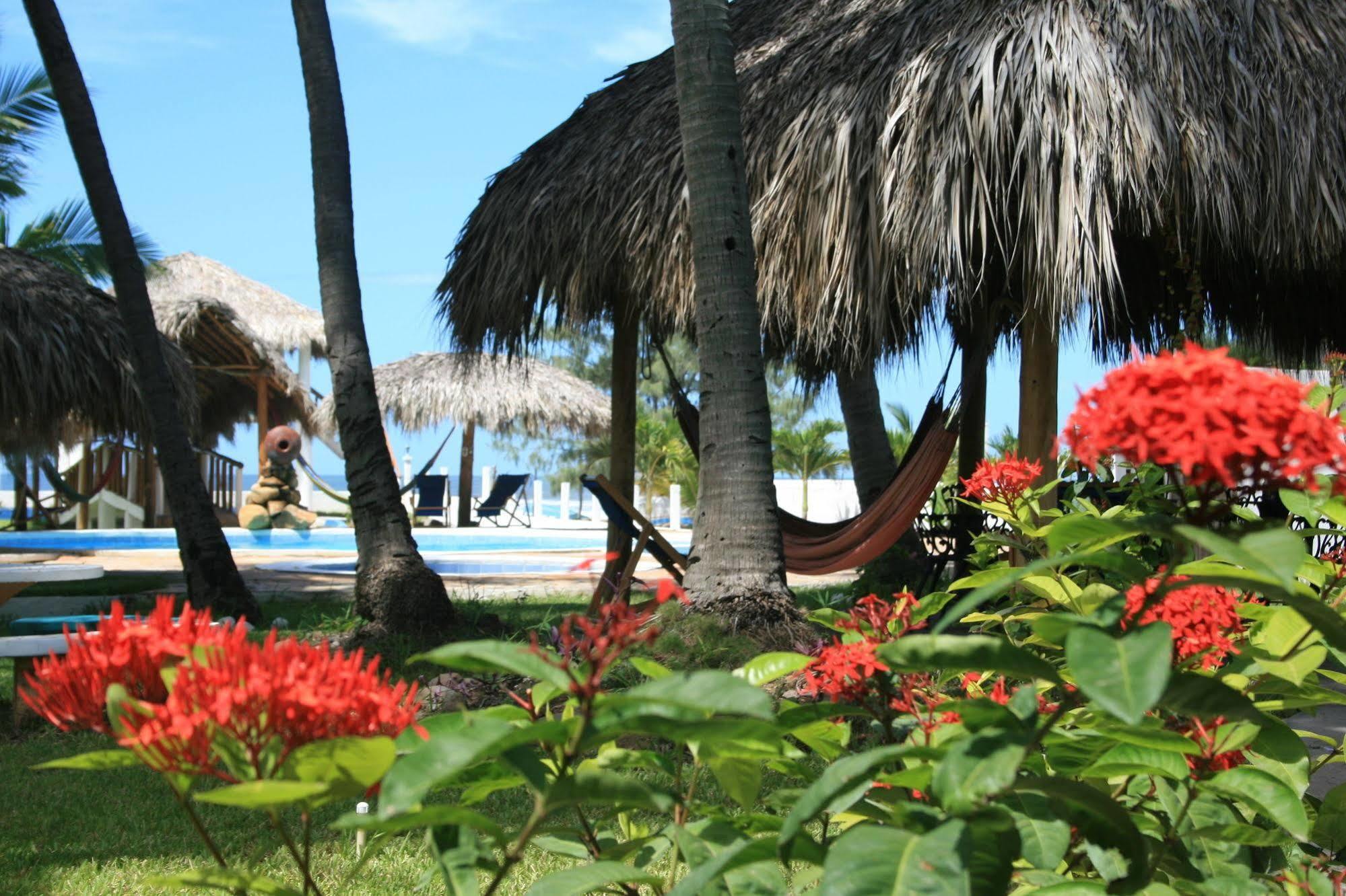 ホテル Azul Surf Club エル・クコ エクステリア 写真
